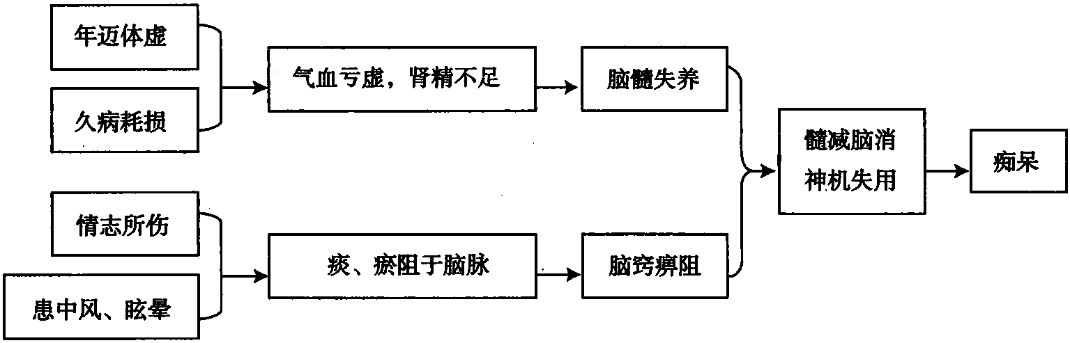 第五節(jié) 癡呆